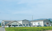 全景